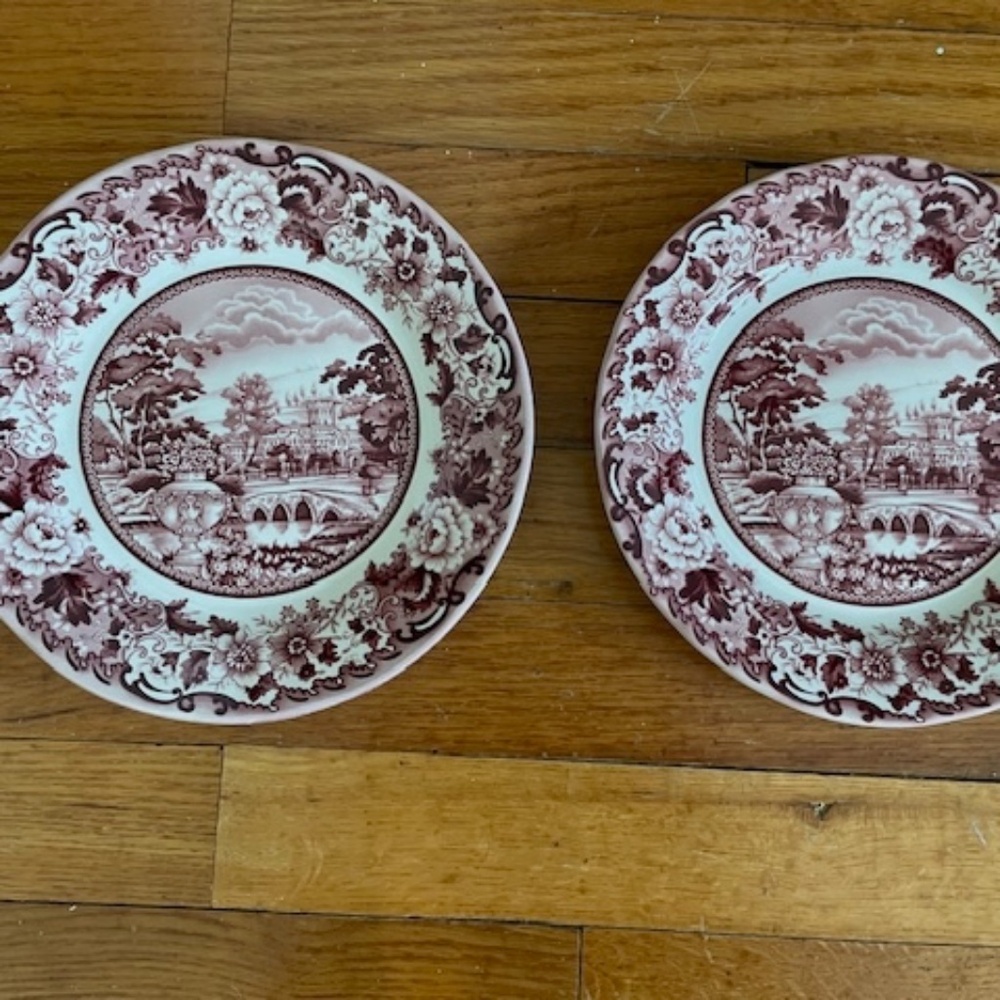 2 Dinner Plates